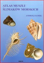  Książka