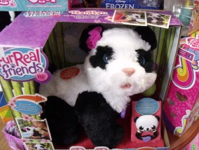  chodząca panda